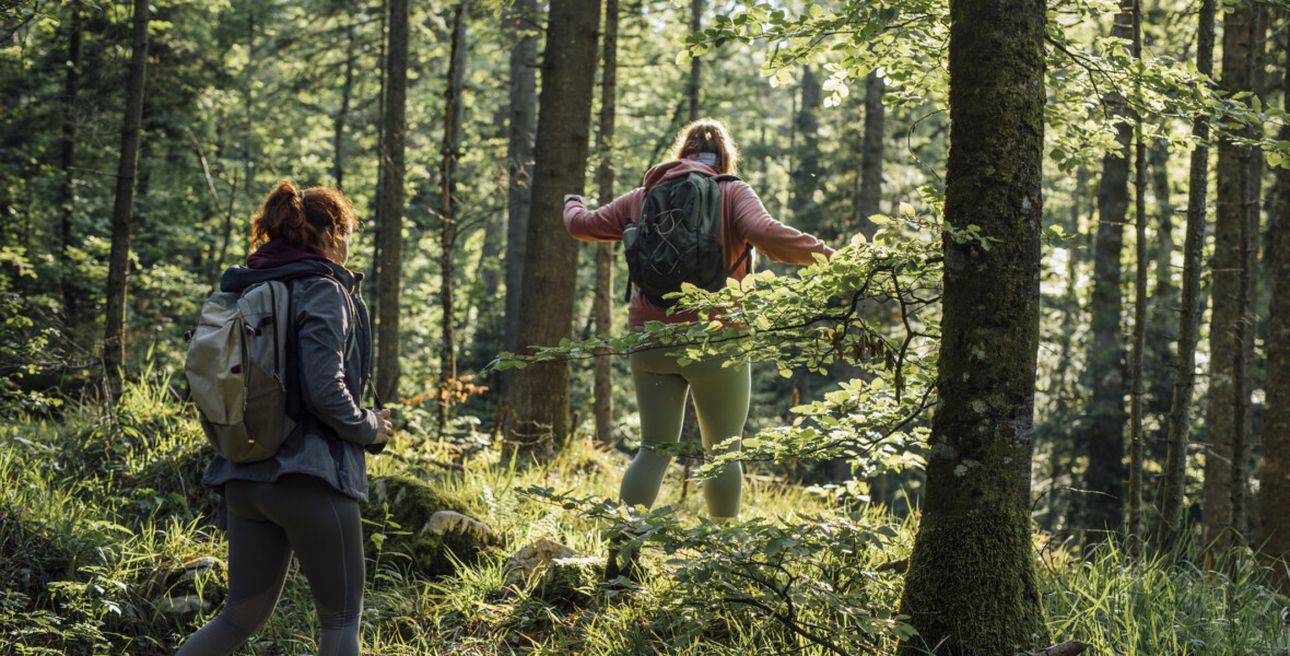 Två kvinnor går i skogen