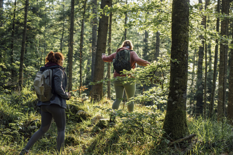Två kvinnor går i skogen