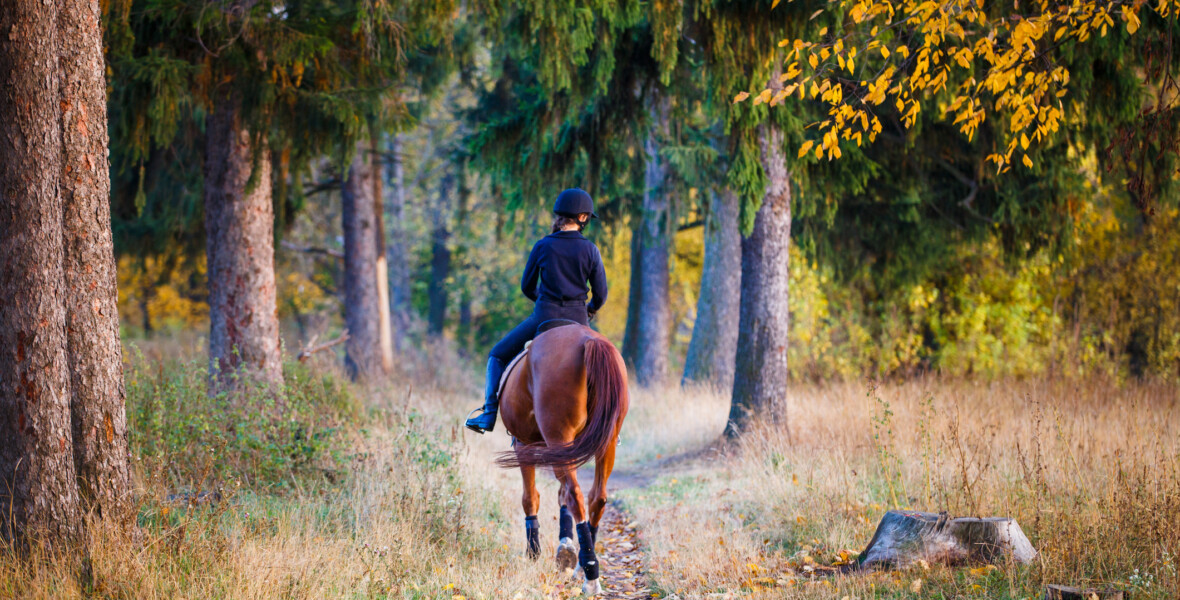 Flicka rider på häst i skogen