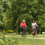 Två personer cyklar i en park