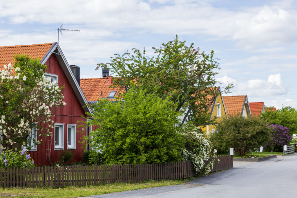 Villagata i grönska