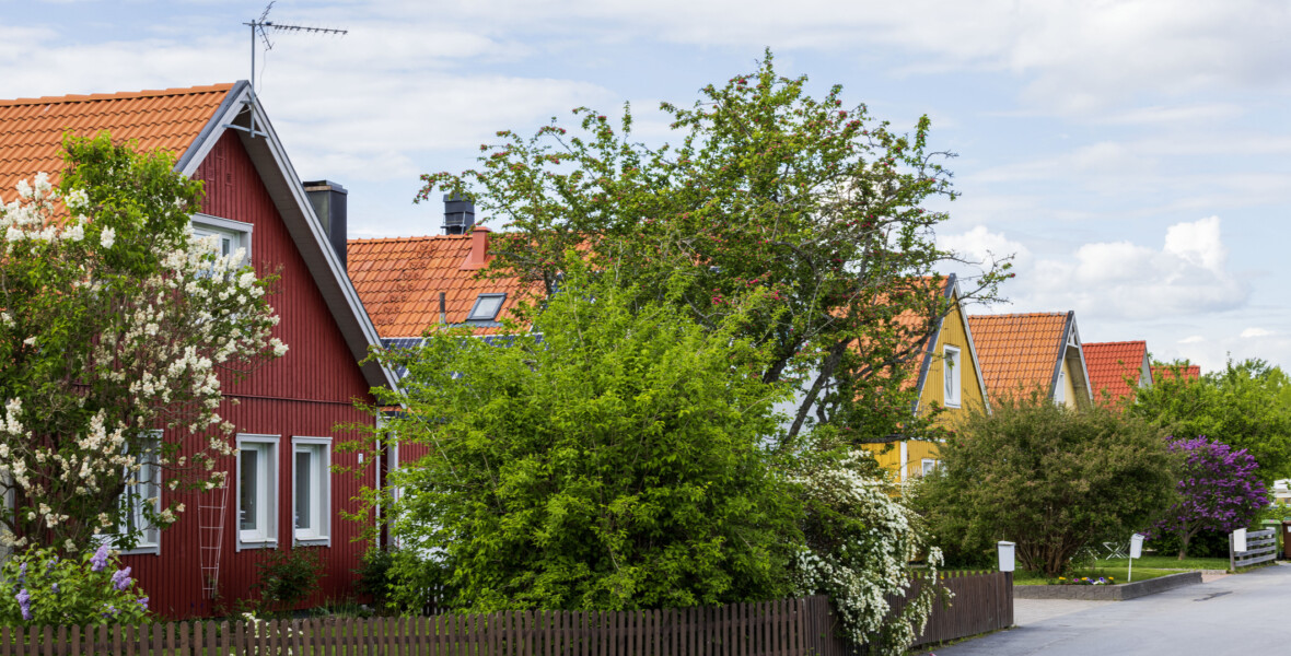Villagata i grönska
