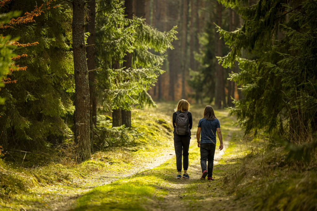 Två personer går i skog