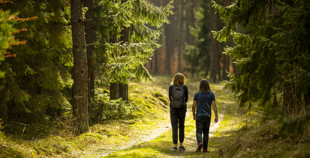 Två personer går i skog
