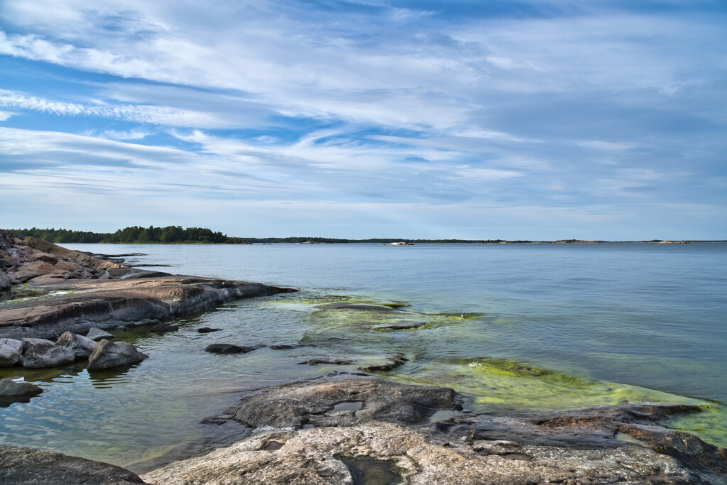 Klippor, alger och hav