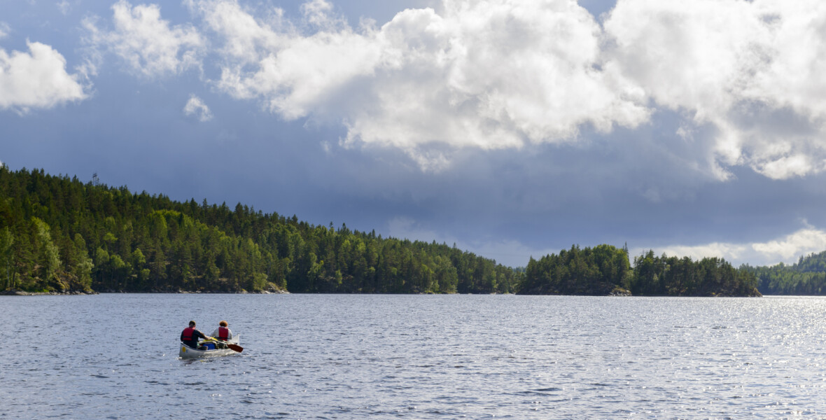 Paddlar i sjö